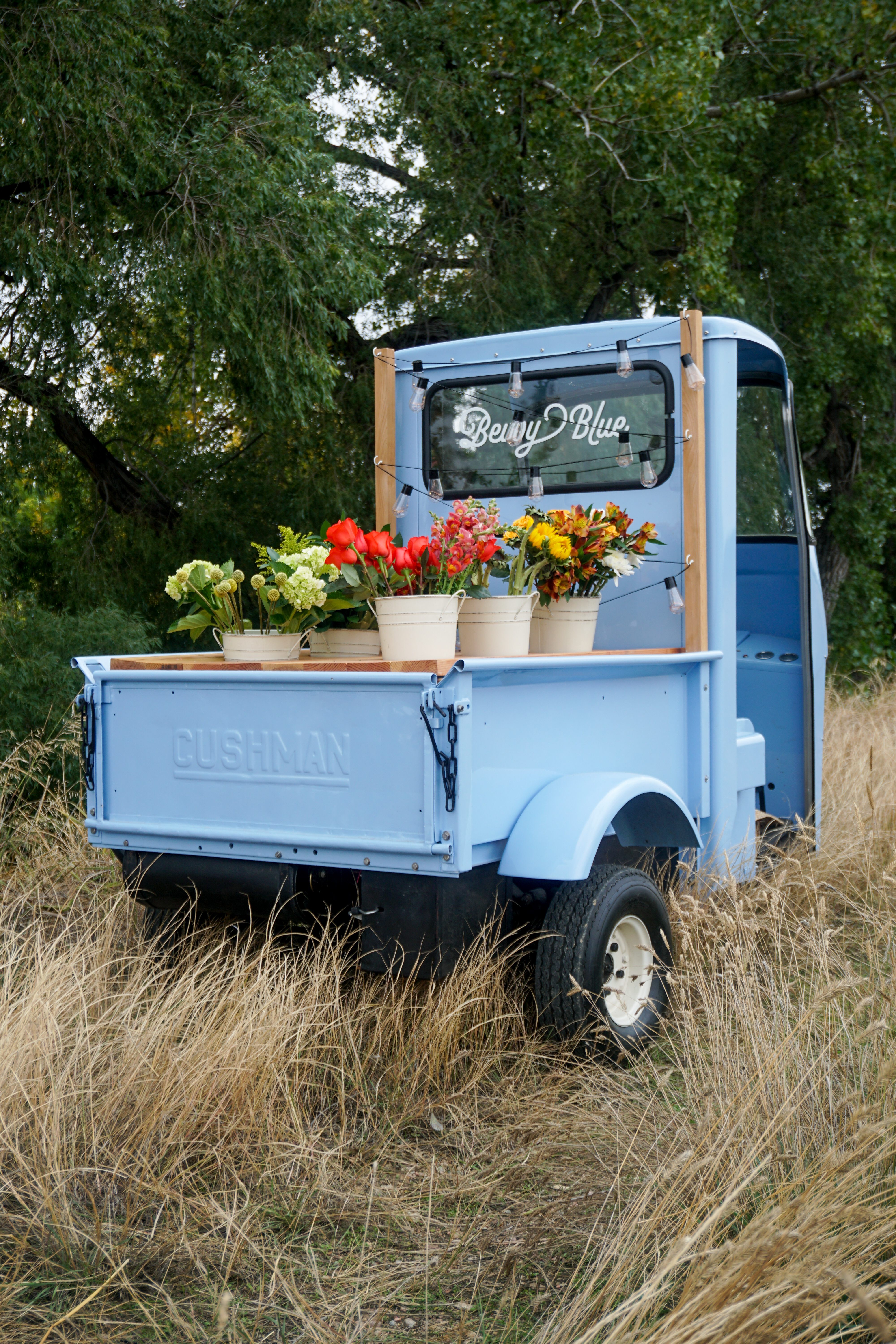 A vintage blue Cushman truck parked in a grassy area, featuring several potted flowers in the truck bed.