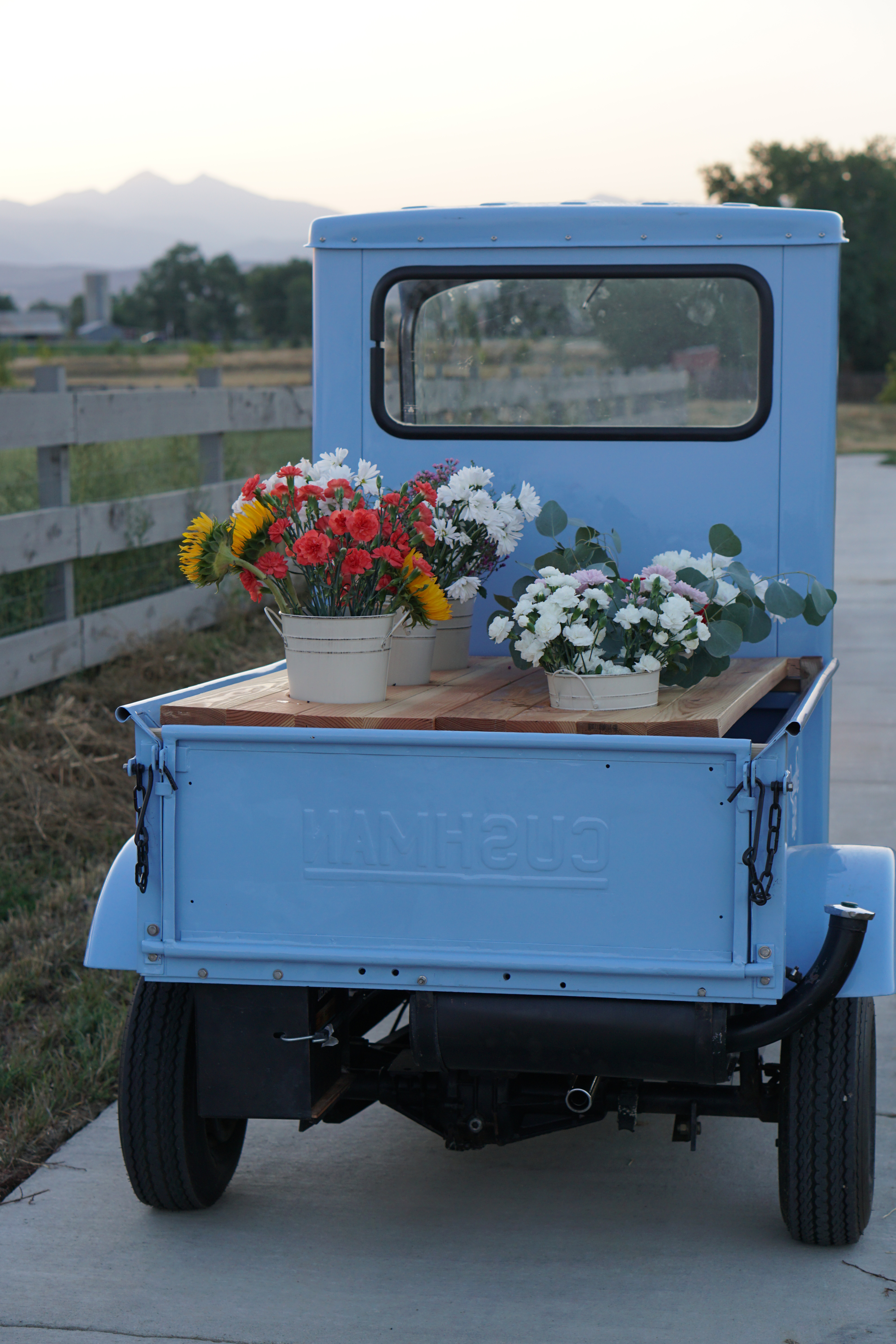 A vintage blue truck with potted flowers in the back, set against a backdrop of mountains and a wooden fence.